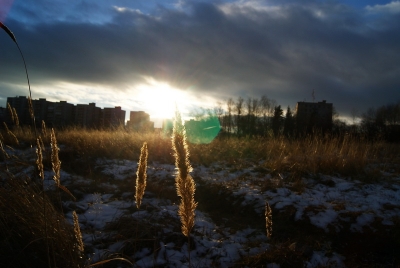Осень в г. Краснотурьинск (Фото 7)